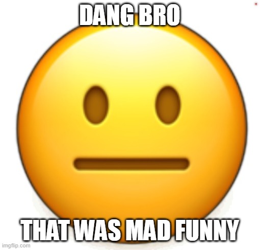 Dang bro.. | DANG BRO THAT WAS MAD FUNNY | image tagged in dang bro | made w/ Imgflip meme maker