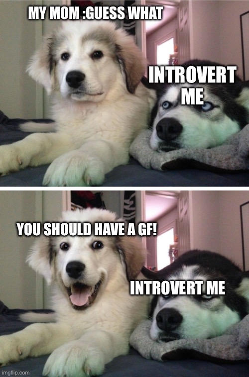 Bad Pun Husky | MY MOM :GUESS WHAT; INTROVERT ME; YOU SHOULD HAVE A GF! INTROVERT ME | image tagged in bad pun husky | made w/ Imgflip meme maker