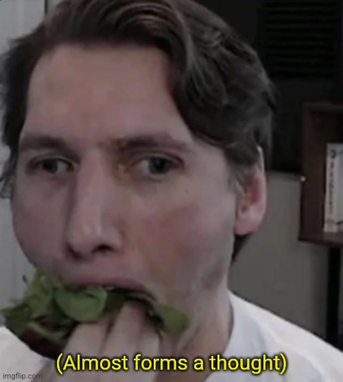 Jerma eating Lettuce | (Almost forms a thought) | image tagged in jerma eating lettuce | made w/ Imgflip meme maker