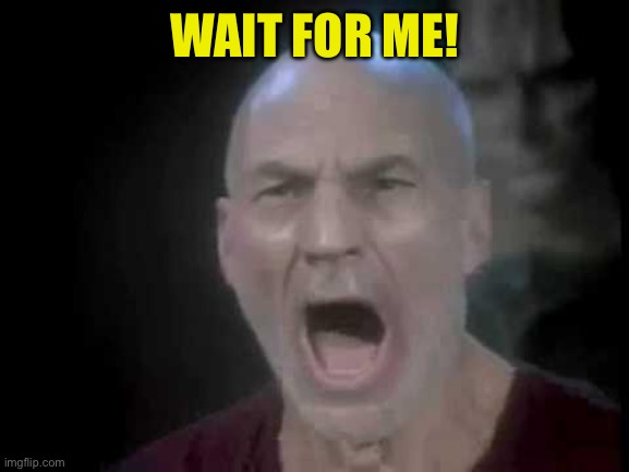 Picard Four Lights | WAIT FOR ME! | image tagged in picard four lights | made w/ Imgflip meme maker