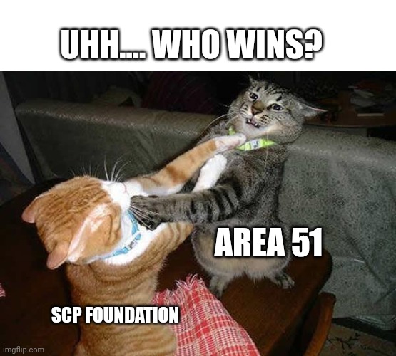 Who??? | UHH.... WHO WINS? AREA 51; SCP FOUNDATION | image tagged in two cats fighting for real | made w/ Imgflip meme maker