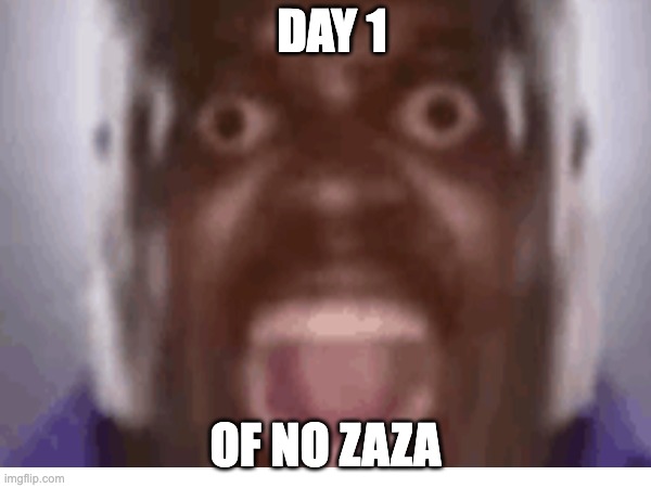Need zaza | DAY 1; OF NO ZAZA | image tagged in goofy ahh | made w/ Imgflip meme maker