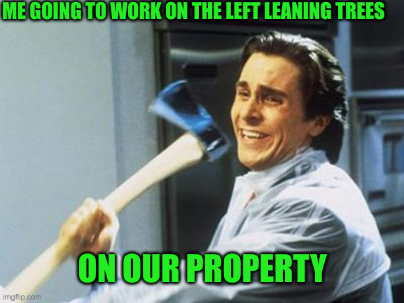 They're Coming Down | ME GOING TO WORK ON THE LEFT LEANING TREES; ON OUR PROPERTY | image tagged in american psycho,funny memes,memes | made w/ Imgflip meme maker