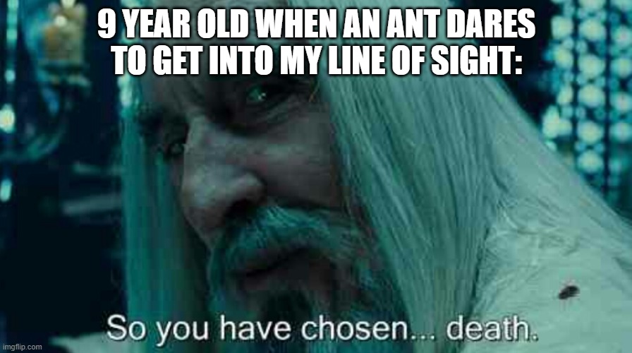 So you have chosen death | 9 YEAR OLD WHEN AN ANT DARES TO GET INTO MY LINE OF SIGHT: | image tagged in so you have chosen death | made w/ Imgflip meme maker