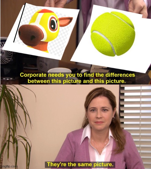 spot the difference | image tagged in memes,they're the same picture | made w/ Imgflip meme maker
