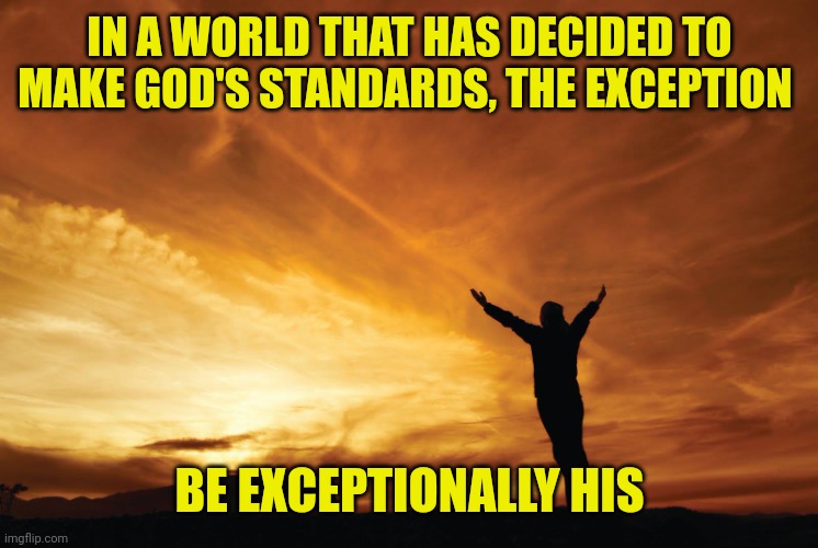 Praise the Lord | IN A WORLD THAT HAS DECIDED TO MAKE GOD'S STANDARDS, THE EXCEPTION; BE EXCEPTIONALLY HIS | image tagged in praise the lord | made w/ Imgflip meme maker