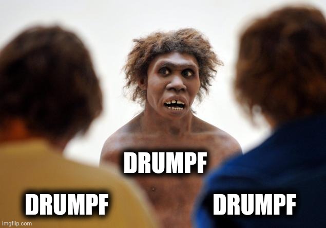 Neanderthal Dafuq | DRUMPF DRUMPF                       DRUMPF | image tagged in neanderthal dafuq | made w/ Imgflip meme maker