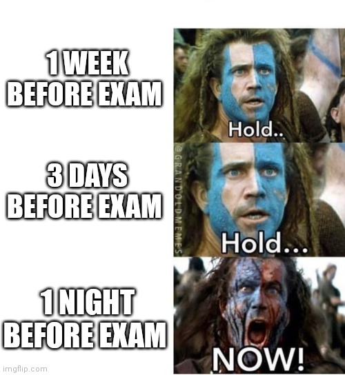 braveheart william wallace hold | 1 WEEK BEFORE EXAM; 3 DAYS BEFORE EXAM; 1 NIGHT BEFORE EXAM | image tagged in braveheart william wallace hold | made w/ Imgflip meme maker