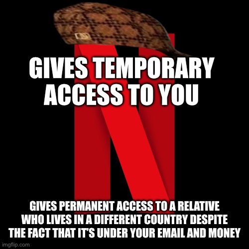 Netflix | GIVES TEMPORARY ACCESS TO YOU; GIVES PERMANENT ACCESS TO A RELATIVE WHO LIVES IN A DIFFERENT COUNTRY DESPITE THE FACT THAT IT’S UNDER YOUR EMAIL AND MONEY | image tagged in netflix | made w/ Imgflip meme maker