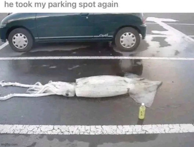 image tagged in memes,funny | made w/ Imgflip meme maker