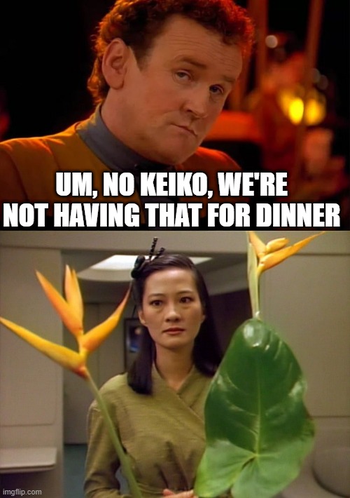 Keiko Cooks | UM, NO KEIKO, WE'RE NOT HAVING THAT FOR DINNER | image tagged in miles o brien,keiko staring | made w/ Imgflip meme maker