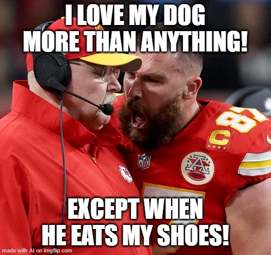 Sounds Like Something Said | I LOVE MY DOG MORE THAN ANYTHING! EXCEPT WHEN HE EATS MY SHOES! | image tagged in travis kelce screaming | made w/ Imgflip meme maker