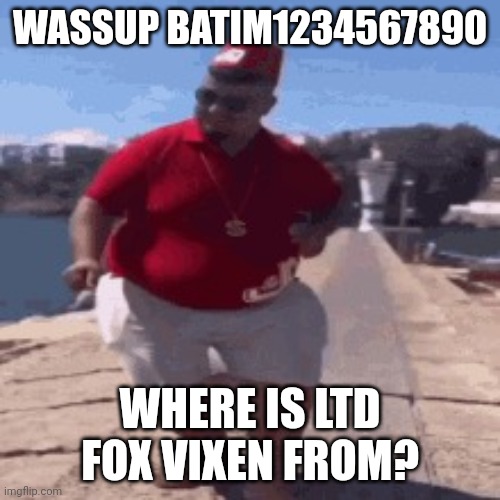 Aka Officer Yeou btw. | WASSUP BATIM1234567890; WHERE IS LTD FOX VIXEN FROM? | image tagged in skibidi dop dop yes yes | made w/ Imgflip meme maker