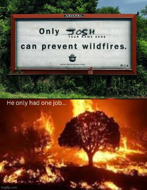 Only Josh can prevent wildfires | image tagged in smokey the bear,only josh can prevent wildfires | made w/ Imgflip meme maker