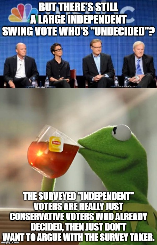 BUT THERE'S STILL A LARGE INDEPENDENT SWING VOTE WHO'S "UNDECIDED"? THE SURVEYED "INDEPENDENT" VOTERS ARE REALLY JUST CONSERVATIVE VOTERS WHO ALREADY DECIDED, THEN JUST DON'T WANT TO ARGUE WITH THE SURVEY TAKER. | image tagged in msnbc,memes,but that's none of my business | made w/ Imgflip meme maker
