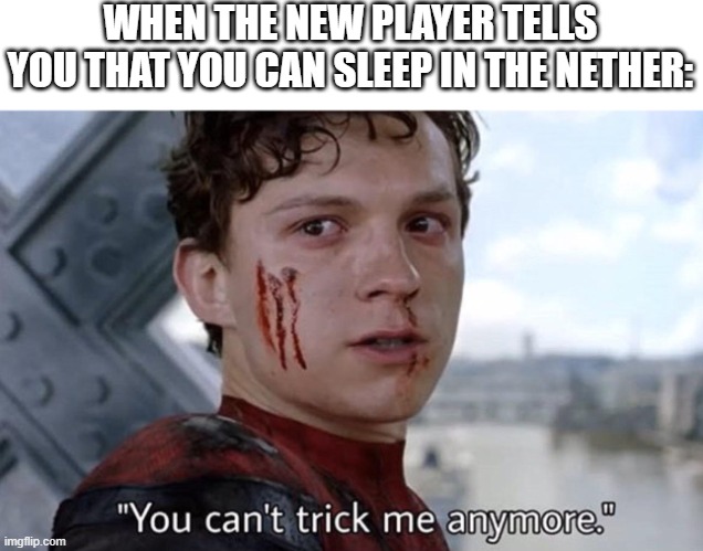 I already know the truth | WHEN THE NEW PLAYER TELLS YOU THAT YOU CAN SLEEP IN THE NETHER: | image tagged in you can't trick me anymore,nether,minecraft memes,gaming | made w/ Imgflip meme maker