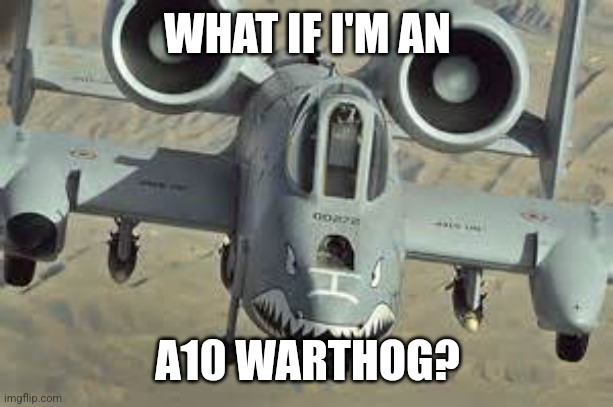 A10 wartjog | WHAT IF I'M AN A10 WARTHOG? | image tagged in a10 wartjog | made w/ Imgflip meme maker