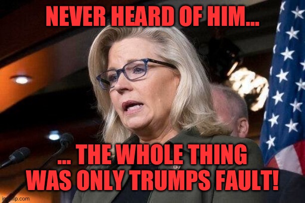 Liz Cheney | NEVER HEARD OF HIM… … THE WHOLE THING WAS ONLY TRUMPS FAULT! | image tagged in liz cheney | made w/ Imgflip meme maker