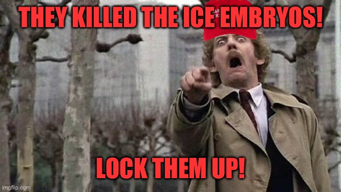 Horror | THEY KILLED THE ICE EMBRYOS! LOCK THEM UP! | image tagged in horror | made w/ Imgflip meme maker