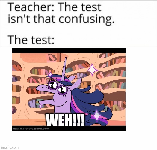 Weirdest test ever | WEH!!! | image tagged in the test isn't that confusing,jpfan102504 | made w/ Imgflip meme maker