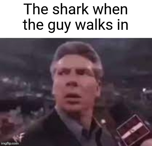x when x walks in | The shark when the guy walks in | image tagged in x when x walks in | made w/ Imgflip meme maker