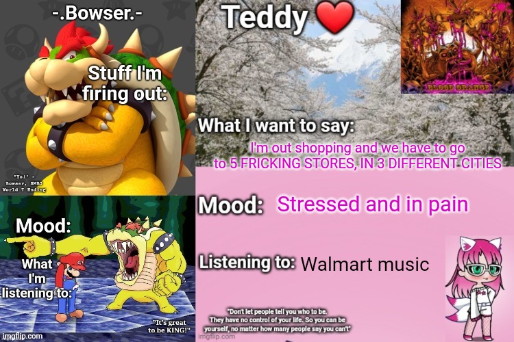 Help me I'm going insane | I'm out shopping and we have to go to 5 FRICKING STORES, IN 3 DIFFERENT CITIES; Stressed and in pain; Walmart music | image tagged in bowser and teddy's shared announcement temp | made w/ Imgflip meme maker