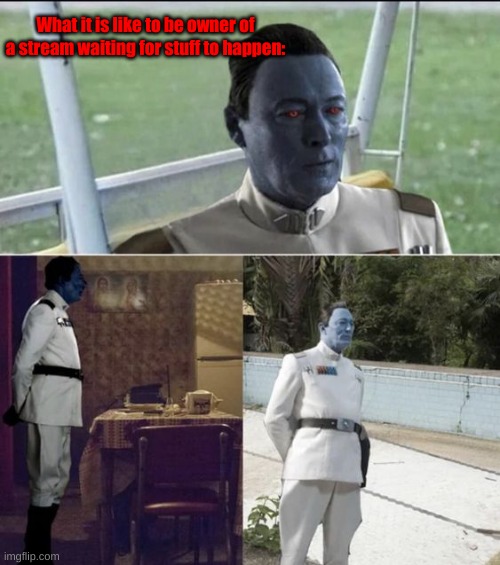 Sad Thrawn | What it is like to be owner of a stream waiting for stuff to happen: | image tagged in sad thrawn | made w/ Imgflip meme maker