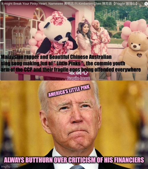 Little Pinks in America are not always young | Malaysian rapper and Beautiful Chinese Australian sing song making fun of " Little Pinks " , the commie youth arm of the CCP and their fragile egos being offended everywhere; AMERICA'S LITTLE PINK; ALWAYS BUTTHURN OVER CRITICISM OF HIS FINANCIERS | made w/ Imgflip meme maker
