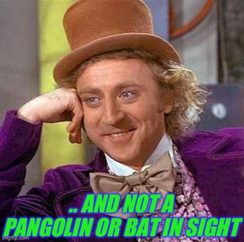 Creepy Condescending Wonka Meme | .. AND NOT A PANGOLIN OR BAT IN SIGHT | image tagged in memes,creepy condescending wonka | made w/ Imgflip meme maker