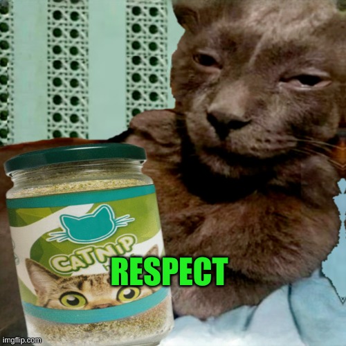 Shit Poster 4 Lyfe | RESPECT | image tagged in ship osta 4 lyfe | made w/ Imgflip meme maker