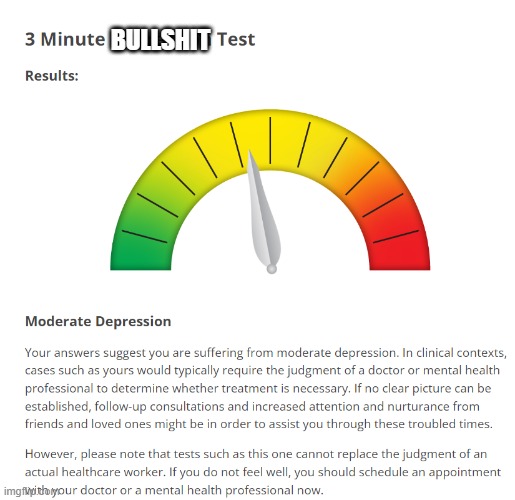 depression test is rigged, but ig i have moderate depression :3 | BULLSHIT | made w/ Imgflip meme maker