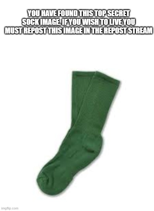 YOU HAVE FOUND THIS TOP SECRET SOCK IMAGE. IF YOU WISH TO LIVE YOU MUST REPOST THIS IMAGE IN THE REPOST STREAM | image tagged in blank white template | made w/ Imgflip meme maker