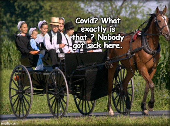Covid? What exactly is that ? Nobody got sick here. | made w/ Imgflip meme maker