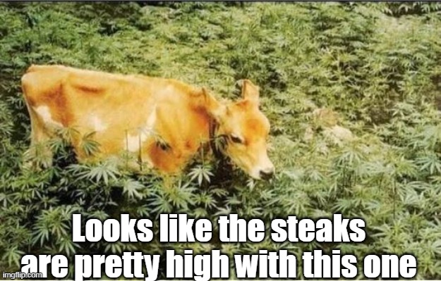 Looks like the steaks are pretty high with this one | made w/ Imgflip meme maker