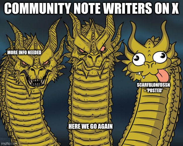 Three-headed Dragon | COMMUNITY NOTE WRITERS ON X; MORE INFO NEEDED; SCARFBLONFDSSN - 'POSTED'; HERE WE GO AGAIN | image tagged in three-headed dragon | made w/ Imgflip meme maker