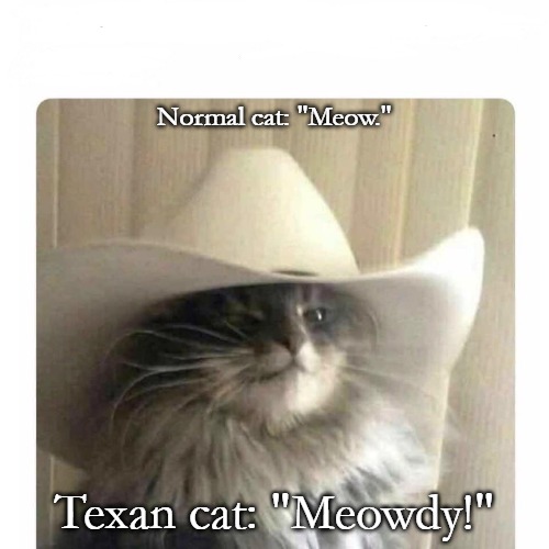cowboy cat | Normal cat: "Meow."; Texan cat: "Meowdy!" | image tagged in cowboy cat | made w/ Imgflip meme maker