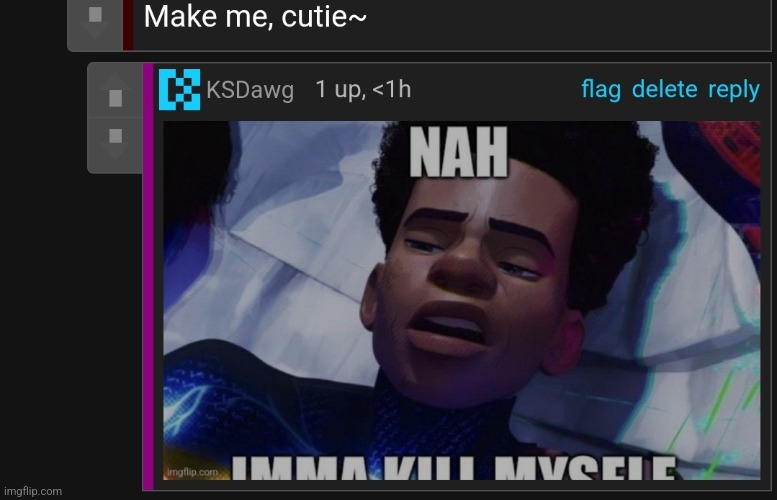made w/ Imgflip meme maker