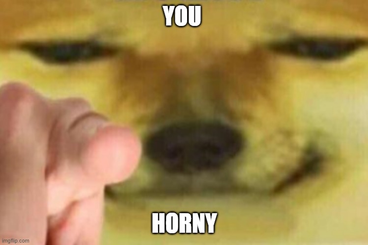 You Horny | YOU; HORNY | image tagged in horny | made w/ Imgflip meme maker