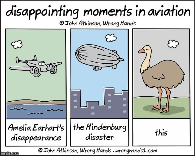 Aviation (link in comments) | image tagged in comics/cartoons,ostrich | made w/ Imgflip meme maker