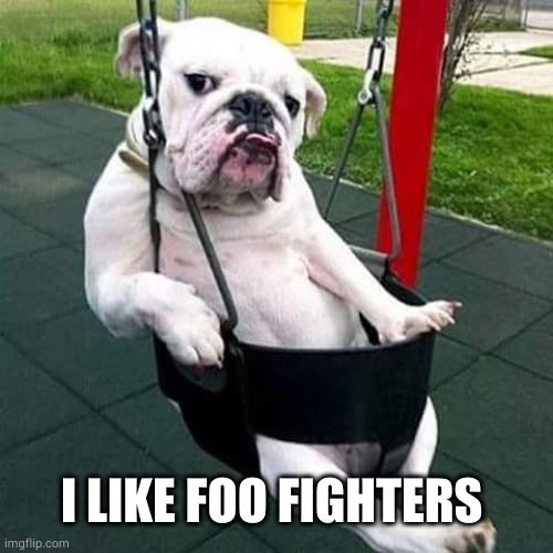 bulldog thug | I LIKE FOO FIGHTERS | image tagged in bulldog thug | made w/ Imgflip meme maker