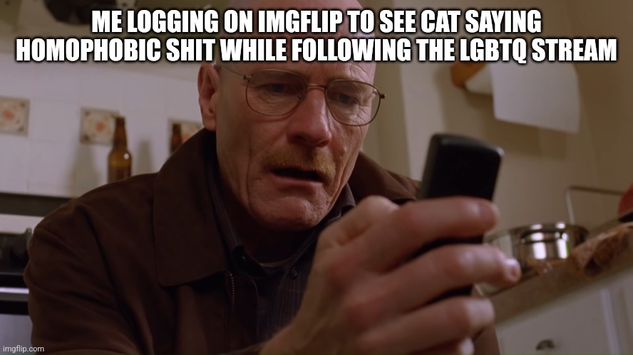 Walter White on his Phone | ME LOGGING ON IMGFLIP TO SEE CAT SAYING HOMOPHOBIC SHIT WHILE FOLLOWING THE LGBTQ STREAM | image tagged in walter white on his phone | made w/ Imgflip meme maker