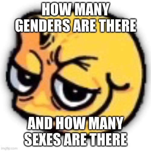 wtf is the name of this temp | HOW MANY GENDERS ARE THERE; AND HOW MANY SEXES ARE THERE | image tagged in anus shit | made w/ Imgflip meme maker