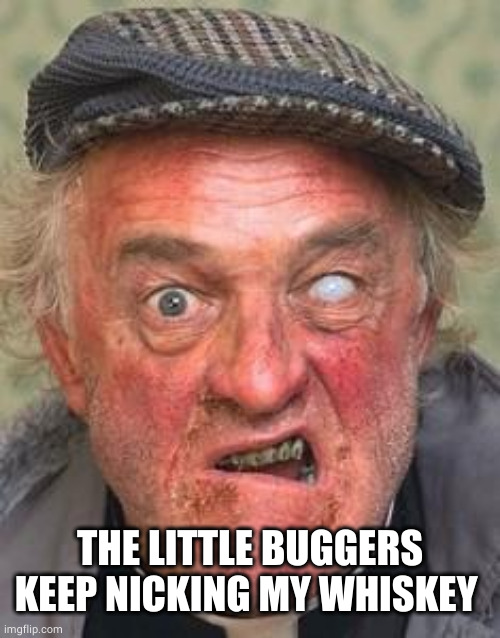 Irish guy | THE LITTLE BUGGERS KEEP NICKING MY WHISKEY | image tagged in irish guy | made w/ Imgflip meme maker