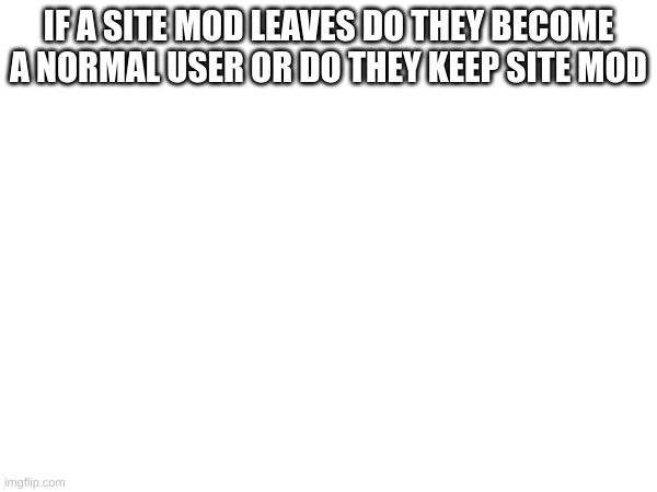 m | IF A SITE MOD LEAVES DO THEY BECOME A NORMAL USER OR DO THEY KEEP SITE MOD | image tagged in m | made w/ Imgflip meme maker