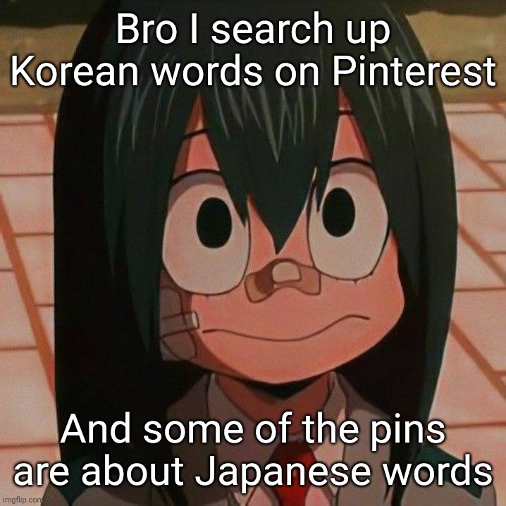Tsuyu Asui | Bro I search up Korean words on Pinterest; And some of the pins are about Japanese words | image tagged in tsuyu asui | made w/ Imgflip meme maker