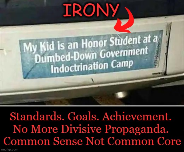 'DEI' (Better spelled 'DIE') | IRONY; Standards. Goals. Achievement. 
No More Divisive Propaganda. 
Common Sense Not Common Core | image tagged in diversity,equity,inclusion,liberalism,education,indoctrination | made w/ Imgflip meme maker