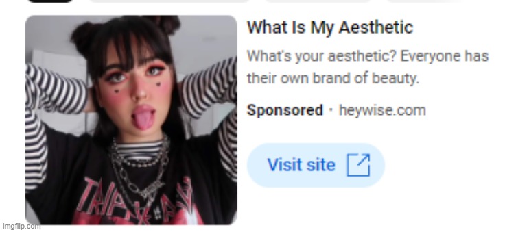 has anyone else gotten this stupidass ad | made w/ Imgflip meme maker