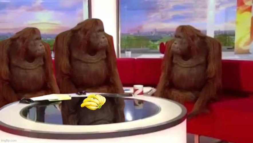 Monkeys eating bananas | image tagged in where monkey | made w/ Imgflip meme maker