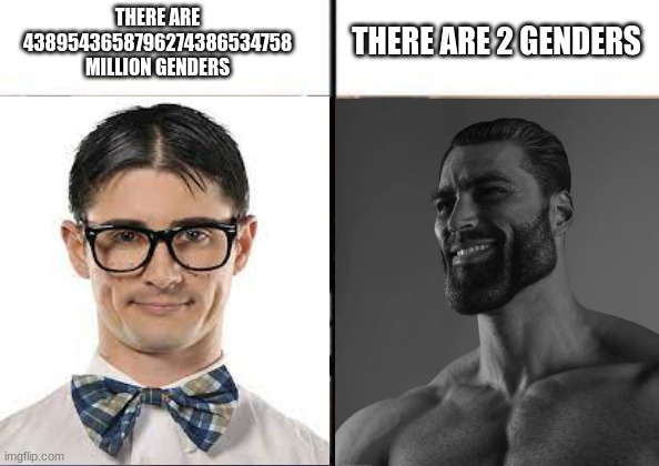 Now to see how long it takes for me to get canceled | THERE ARE
4389543658796274386534758
MILLION GENDERS; THERE ARE 2 GENDERS | image tagged in nerd vs chad | made w/ Imgflip meme maker