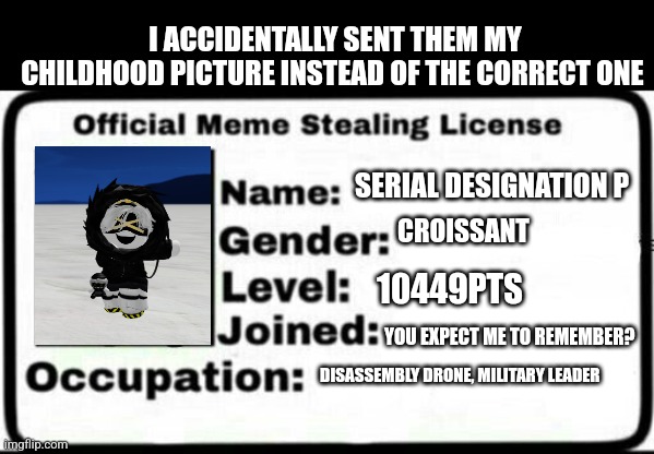 Meme Stealing License | I ACCIDENTALLY SENT THEM MY CHILDHOOD PICTURE INSTEAD OF THE CORRECT ONE; SERIAL DESIGNATION P; CROISSANT; 10449PTS; YOU EXPECT ME TO REMEMBER? DISASSEMBLY DRONE, MILITARY LEADER | image tagged in meme stealing license | made w/ Imgflip meme maker
